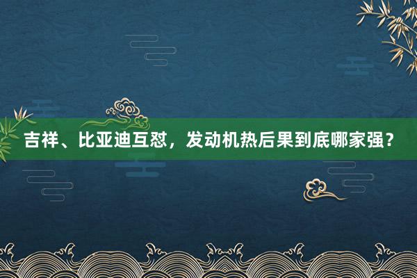 吉祥、比亚迪互怼，发动机热后果到底哪家强？