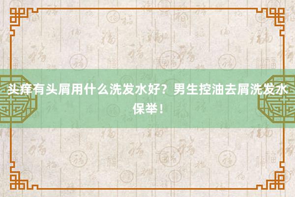 头痒有头屑用什么洗发水好？男生控油去屑洗发水保举！