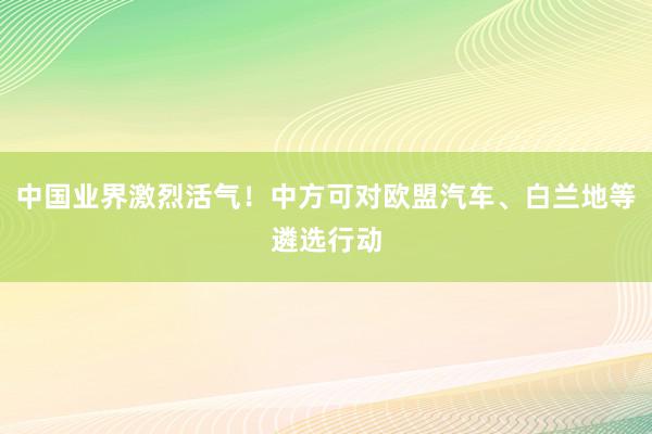 中国业界激烈活气！中方可对欧盟汽车、白兰地等遴选行动