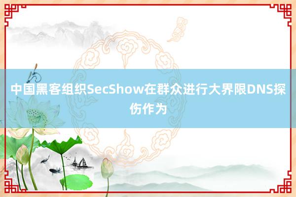 中国黑客组织SecShow在群众进行大界限DNS探伤作为