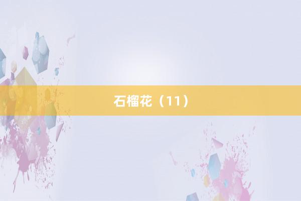 石榴花（11）