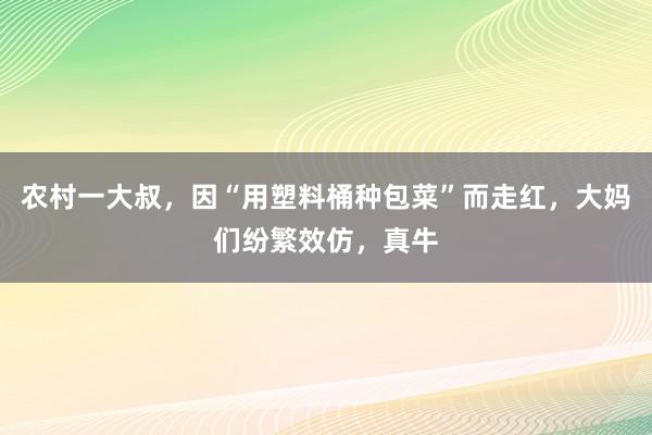 农村一大叔，因“用塑料桶种包菜”而走红，大妈们纷繁效仿，真牛