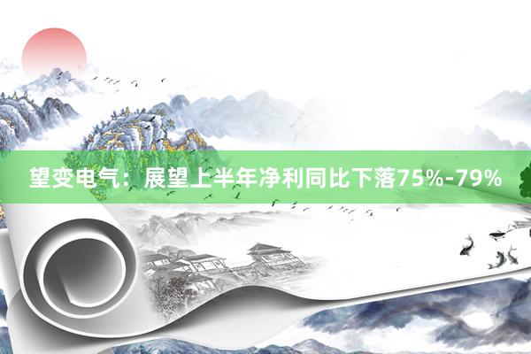 望变电气：展望上半年净利同比下落75%-79%