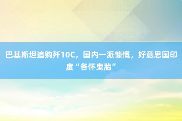 巴基斯坦追购歼10C，国内一派慷慨，好意思国印度“各怀鬼胎”