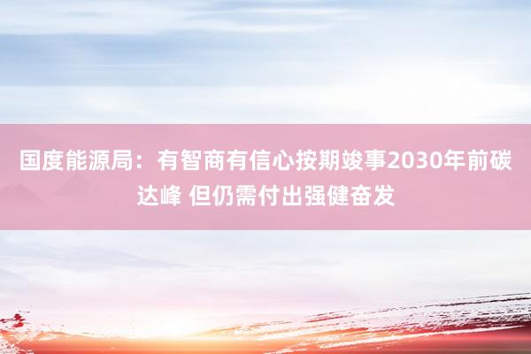 国度能源局：有智商有信心按期竣事2030年前碳达峰 但仍需付出强健奋发