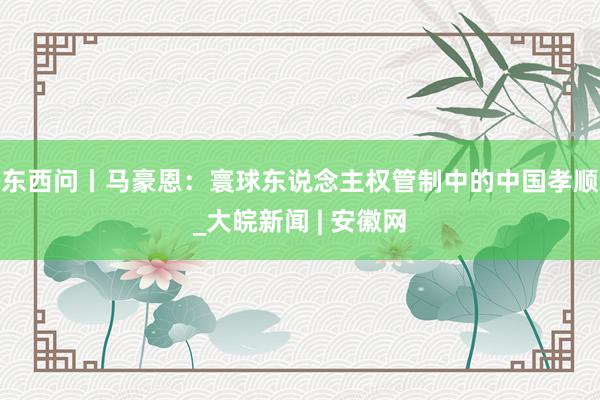 东西问丨马豪恩：寰球东说念主权管制中的中国孝顺_大皖新闻 | 安徽网