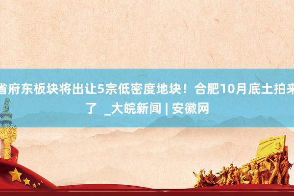 省府东板块将出让5宗低密度地块！合肥10月底土拍来了  _大皖新闻 | 安徽网